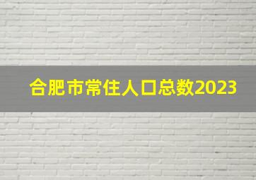 合肥市常住人口总数2023