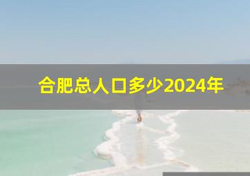 合肥总人口多少2024年