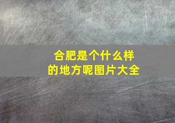 合肥是个什么样的地方呢图片大全