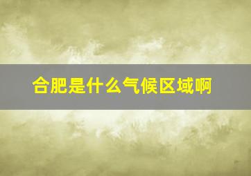 合肥是什么气候区域啊