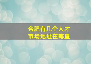 合肥有几个人才市场地址在哪里