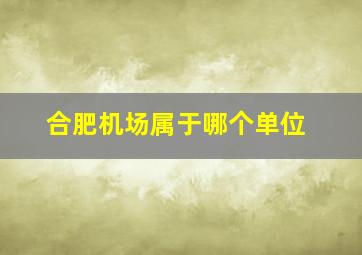 合肥机场属于哪个单位