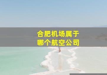 合肥机场属于哪个航空公司