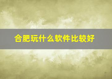 合肥玩什么软件比较好