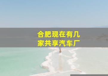 合肥现在有几家共享汽车厂