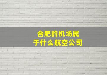 合肥的机场属于什么航空公司