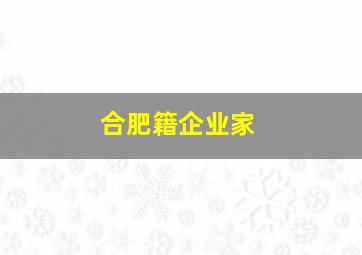 合肥籍企业家