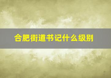 合肥街道书记什么级别