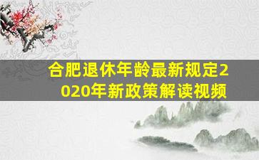 合肥退休年龄最新规定2020年新政策解读视频