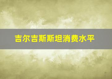 吉尔吉斯斯坦消费水平