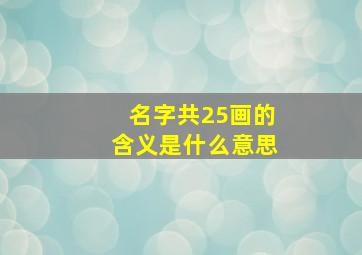 名字共25画的含义是什么意思