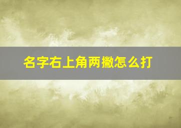 名字右上角两撇怎么打