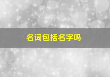 名词包括名字吗