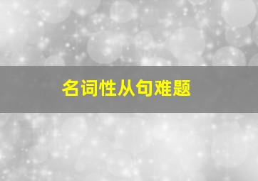 名词性从句难题