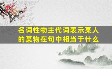 名词性物主代词表示某人的某物在句中相当于什么