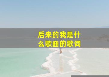 后来的我是什么歌曲的歌词