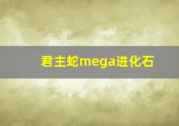 君主蛇mega进化石