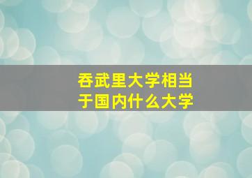 吞武里大学相当于国内什么大学