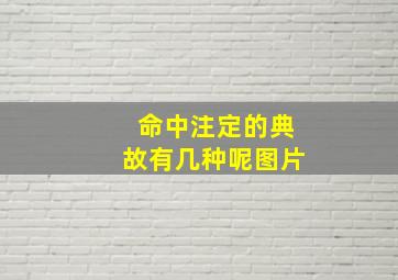 命中注定的典故有几种呢图片