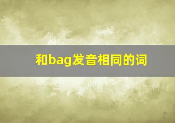 和bag发音相同的词