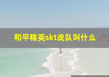 和平精英skt战队叫什么