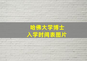 哈佛大学博士入学时间表图片