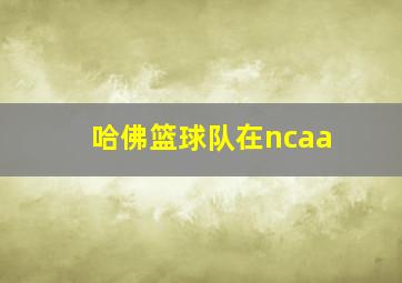 哈佛篮球队在ncaa