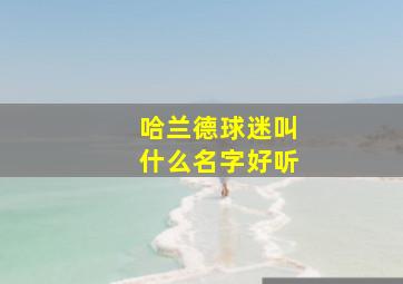 哈兰德球迷叫什么名字好听