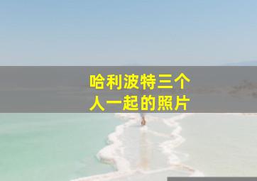 哈利波特三个人一起的照片