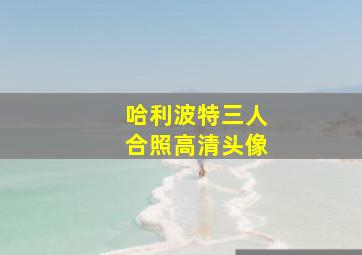 哈利波特三人合照高清头像