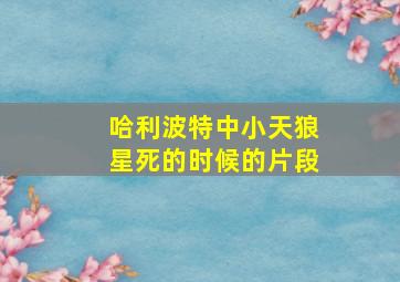 哈利波特中小天狼星死的时候的片段