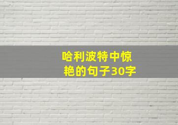 哈利波特中惊艳的句子30字