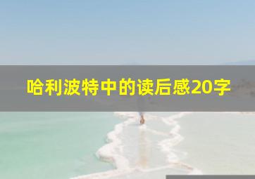 哈利波特中的读后感20字