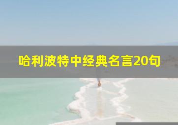 哈利波特中经典名言20句