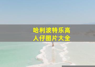 哈利波特乐高人仔图片大全