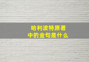 哈利波特原著中的金句是什么