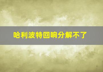 哈利波特回响分解不了