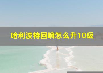 哈利波特回响怎么升10级