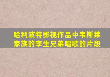 哈利波特影视作品中韦斯莱家族的孪生兄弟唱歌的片段