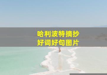 哈利波特摘抄好词好句图片