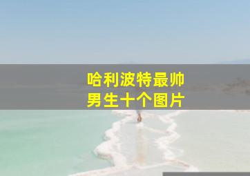 哈利波特最帅男生十个图片