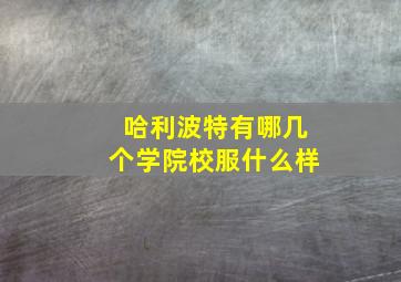 哈利波特有哪几个学院校服什么样