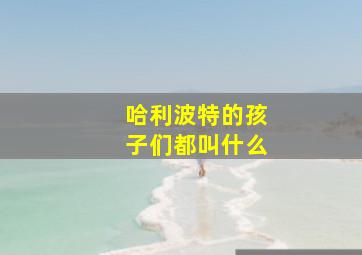 哈利波特的孩子们都叫什么