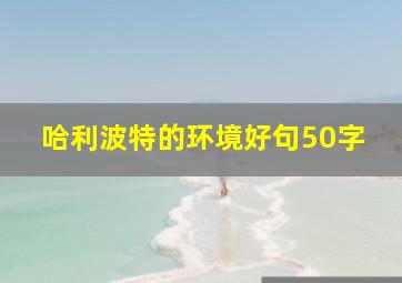 哈利波特的环境好句50字