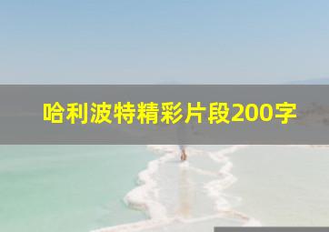 哈利波特精彩片段200字