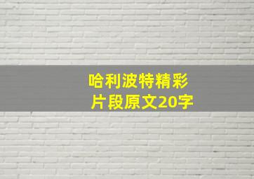 哈利波特精彩片段原文20字