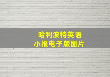 哈利波特英语小报电子版图片