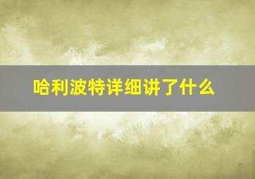 哈利波特详细讲了什么