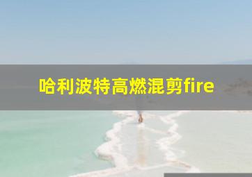 哈利波特高燃混剪fire