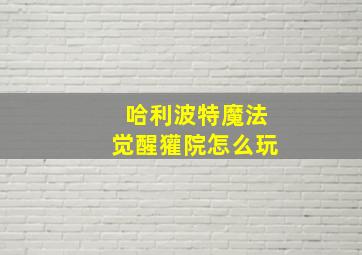 哈利波特魔法觉醒獾院怎么玩